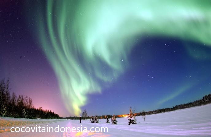 Melihat Aurora Borealis: Cahaya Ajaib di Langit Utara